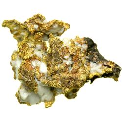 Quartz Gold Nugget 0.70 0zt. (21.8 gr.)