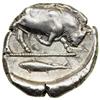 Image 2 : Lucania, Thourioi, c. 425-400 BC. AR Didrachm (or Nomos; 7.91 g). AEF
