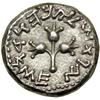 Image 2 : Jewish Coinage. The Jewish War, 66-70 CE. AR Half Shekel (7.06 g) dated Year 3 (68-69 CE). EF