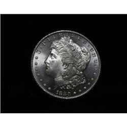 1880-s Morgan Dollar Grades Gem Uncirculated ms65  Proof Like look