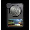 Image 2 : NGC 1891-p Morgan Dollar graded ms61