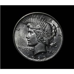 1923-d Peace Dollar Grades Select Uncirculated ms63