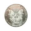 Image 2 : 2001 WORLD TRADE CENTER GROUND ZERO SILVER EAGLE