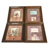 Image 1 : 4 US COIN DISPLAYS INDIAN CENT V & BUFFALO NICKELS