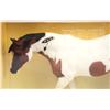 Image 3 : BREYER SAVANNA DIAL 1231 NEW IN BOX RETIRED HORSE