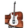 Image 2 : VINTAGE WASHBURN ELECTRIC GUITAR