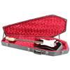 Image 1 : 2005 MEXICAN FENDER STRATOCASTER WITH COFFIN CASE