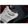 Image 4 : 2005 MEXICAN FENDER STRATOCASTER WITH COFFIN CASE