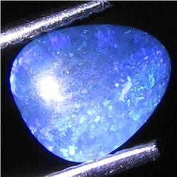 0.74ct Australian Black Opal Doublet Full Fire (GEM-31472)