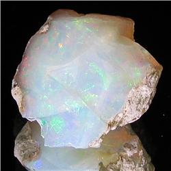 16.05ct Etheopian Opal Rough  (GEM-32713)