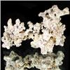 Image 1 : 40ct Natural Silver Crystal Cluster (MIN-000371)