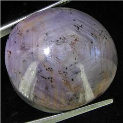 65.85ct Natural Star Ruby Well Patterned  (GEM-32155)