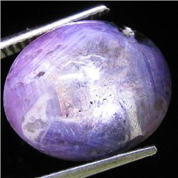 14.70ct Natural Star Ruby Well Patterned  (GEM-32131)