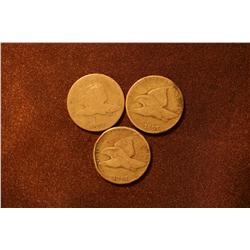 Lot of 3 Eagle Pennies - 1857