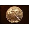 Image 1 : 2011 SILVER EAGLE