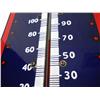 Image 5 : Nature's Remedy Porcelain Thermometer
