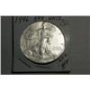 Image 1 : 1996 SILVER EAGLE