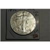 Image 1 : 1996 SILVER EAGLE