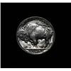 Image 2 : 1934-p Buffalo Nickel 5c Grades Select Uncirculated ms63