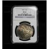 NGC 1881-s Morgan Dollar Graded Choice Uncirculated ms64  Rainbow Toned