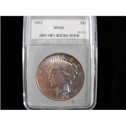 $1 PEACE DOLLAR MS 66 GEM UNCIRCULATED NTC ULTRA FLASHY