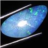 3.5ct Australian Black Opal Doublet Full Fire (GEM-31397)