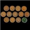 1890 Indian Cent Lot of 13 Hi Grade (COI-7504)