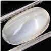 2.50ct Moonstone Cat's Eye Cabochon (GEM-31142)