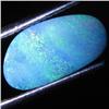 2.73ct Australian Black Opal Doublet Full Fire (GEM-31515)