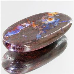 40.50ct Australian Bounder Opal  (GEM-31322)