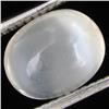 3.20ct Moonstone Cat's Eye Cabochon (GEM-31143)