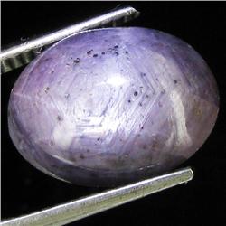 9.80ct Natural Star Ruby Well Patterned  (GEM-32115)