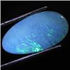 1.12ct Australian Black Opal Doublet Full Fire (GEM-31462)