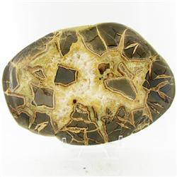 3665ct Crystal Agate Geode Cut Slab (MIN-000040)