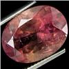 7.54ct Awesome Copper Bearing Pink Tourmaline (GEM-18752)