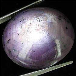 69.95ct Natural Star Ruby Well Patterned  (GEM-32156)