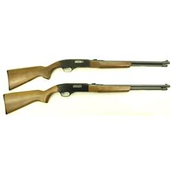 Collection of 2 rifles includes
