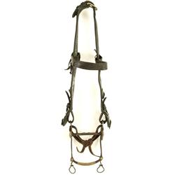 RT Frazier wide cheek headstall