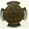 Image 3 : 1877 Indian penny NGC VG details reverse damage