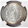 Image 3 : 1882O/S TOPP 100 Morgan $  NGC63 VAM5 broken S