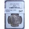Image 1 : 1891CC  Spitting Eagle  VAM3 Morgan $  NGC62
