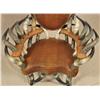 Image 3 : Custom Made Horn Chair
