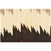 Image 12 : Navajo Rug