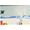 Image 10 : Kuner's Cardboard Victory Garden Sign
