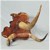Image 1 : Custom Horn Hat Rack