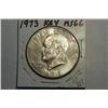 Image 1 : 1973 IKE DOLLAR