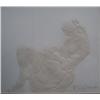 Image 2 : PAPER PRESSING