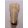 Image 2 : BIRD STONE