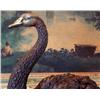 Image 3 : Delightful Bronze Sculpture Single Swan