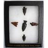 Image 1 : 5 Original Oregon Obsidian Arrowheads in Riker Box